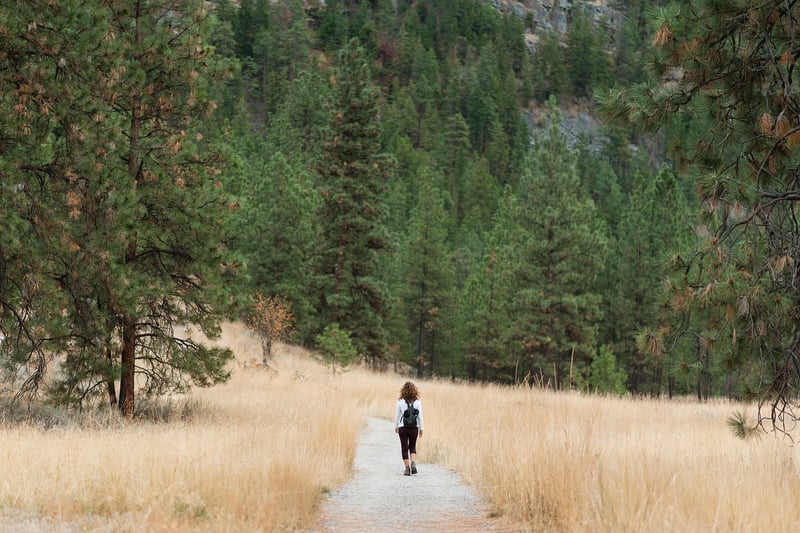 Mindful Hiking